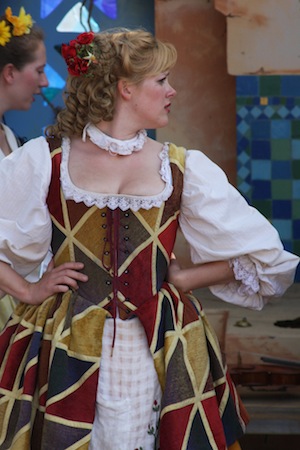 Looking for Ren fair costumes that support bigger busts but