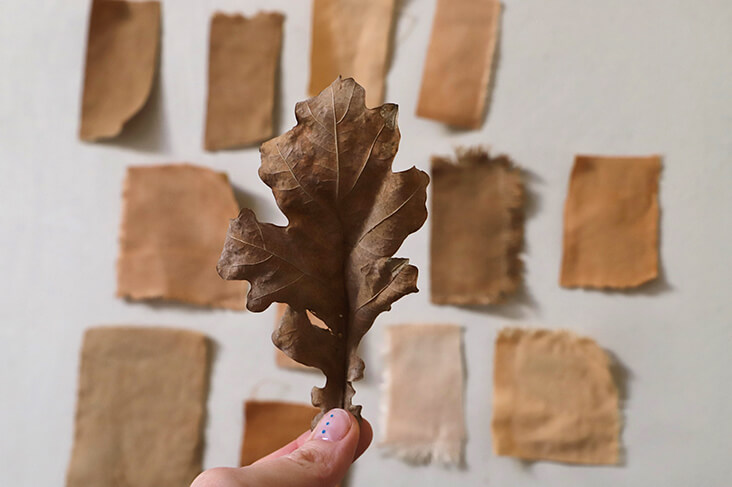 Dyeing with Oak Leaves to Make Natural Brown Fabric Dye - T A L Ú